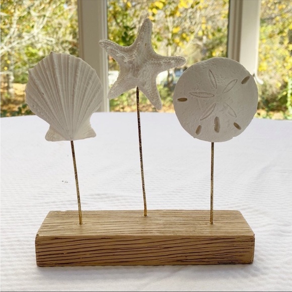 Nautical Beach Shells Photo Clip Holder - Picture 2 of 7